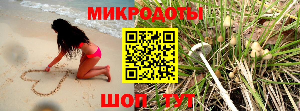 Нальчик  Псилоцибиновые грибы прущие грибы  Псилоцибиновые грибы Psilocybe  Вход с VPN 