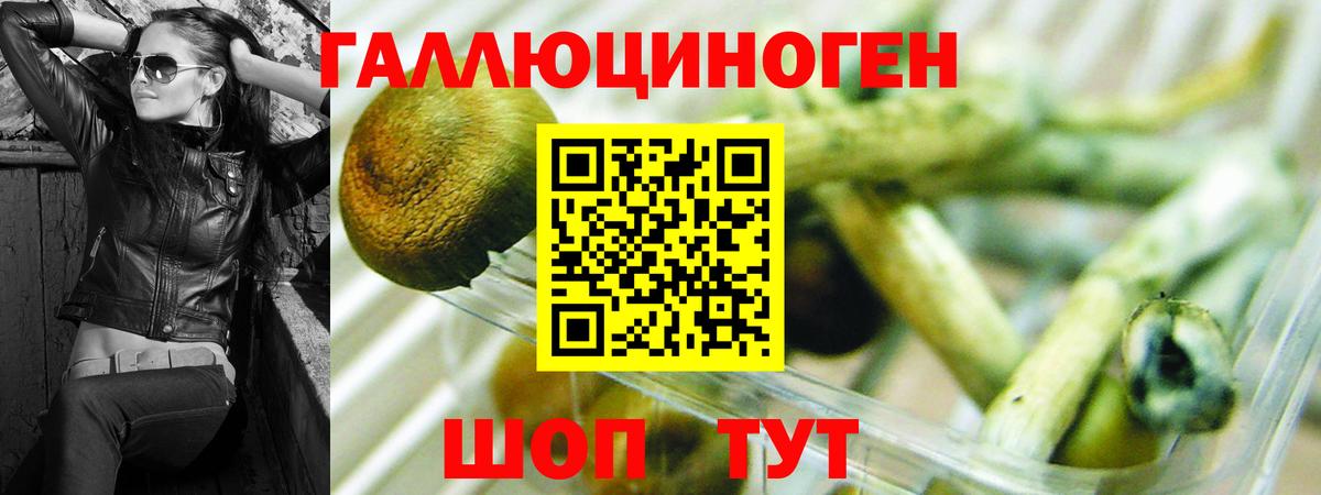 Cocaine  ЭКСТАЗИ  А ПВП СК кристаллы  Меф МЯУ МЯУ   Марихуана  Вход с VPN  Нальчик  ГАШ 