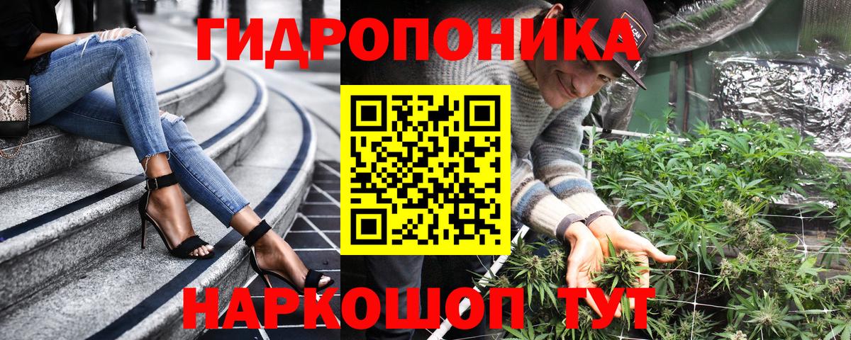 COCAIN Нальчик